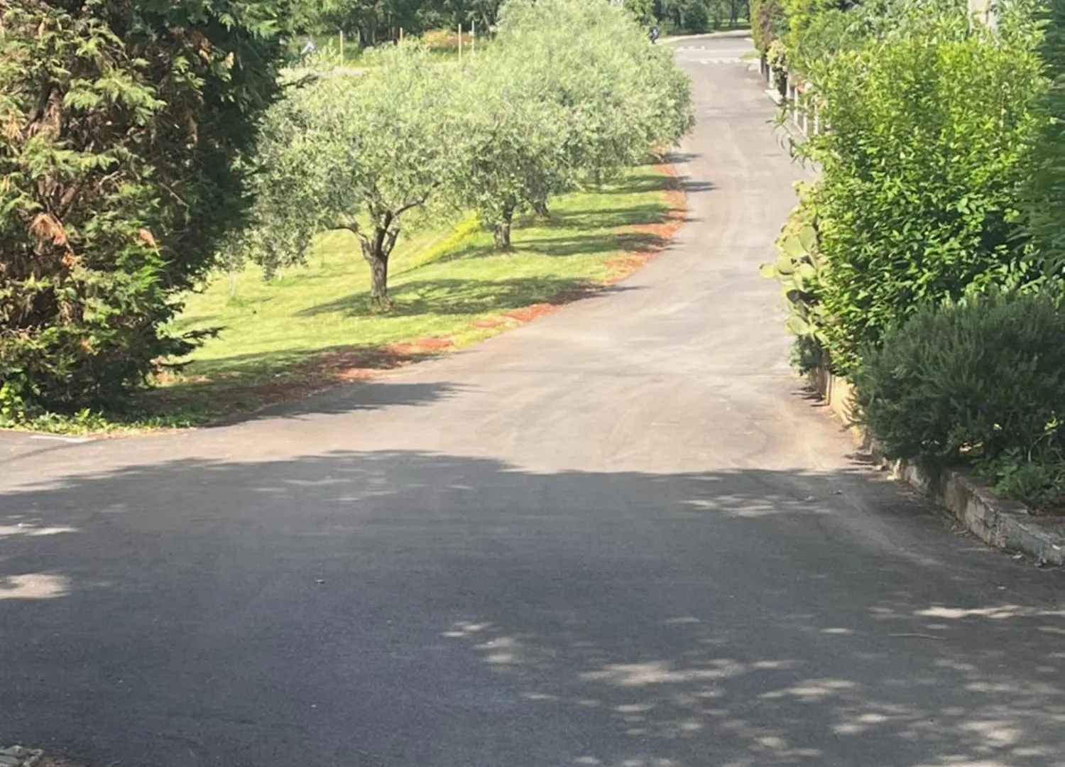 Bed & Breakfast Guest House Sosi Umag Croatia